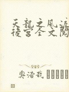天龙之风流猎艳后宫全文阅读