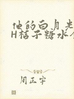 他的白月光HVH桔子糖水全文