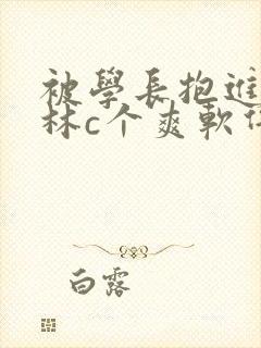 被学长抱进小树林c个爽软件