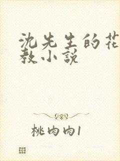 沈先生的花式调教小说