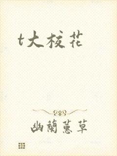 t大校花
