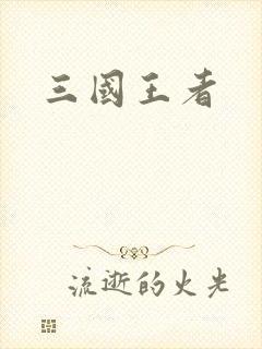 三国王者