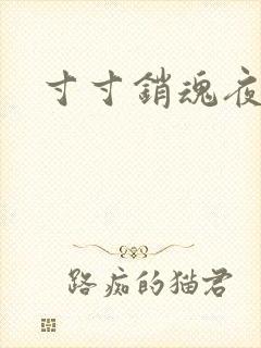 寸寸销魂夜春光