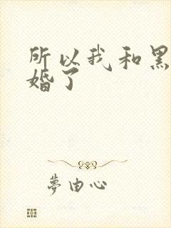 所以我和黑粉结婚了