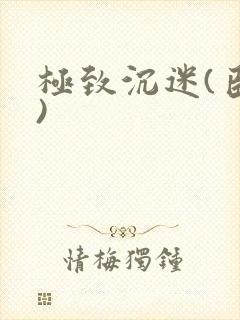 极致沉迷(臣年)