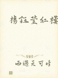 杨钰莹红楼