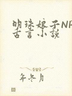 明珠娘子NPC古言小说