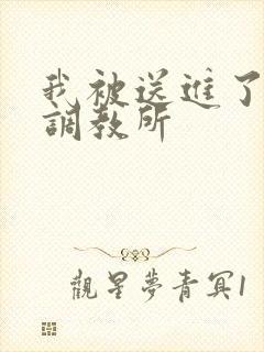 我被送进了私奴调教所