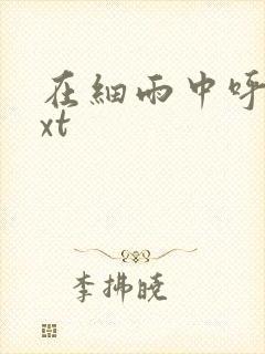 在细雨中呼喊txt