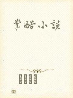 掌酷小说