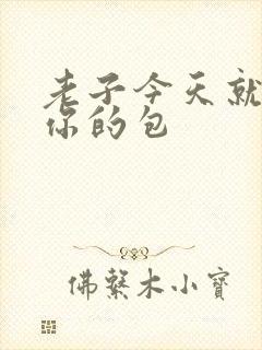 老子今天就要开你的包