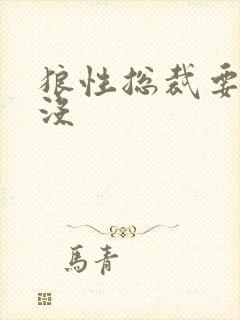 狼性总裁要够了没