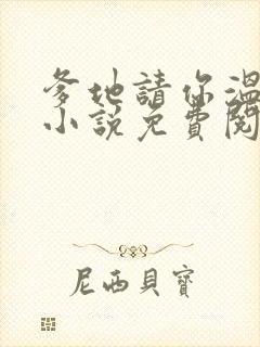 爹地请你温柔点小说免费阅读