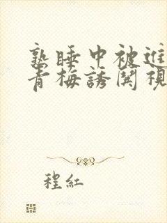 熟睡中被进了H青梅诱哄视频