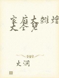 家庭大杂烩小说大全儿