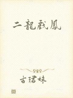 二龙戏凤