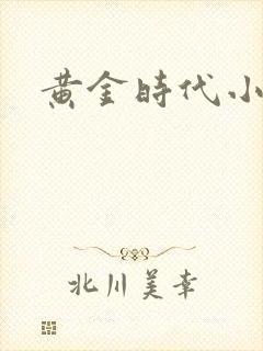 黄金时代小说