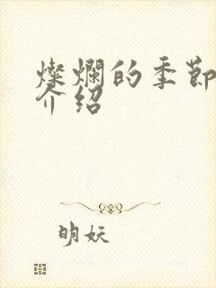 灿烂的季节剧情介绍