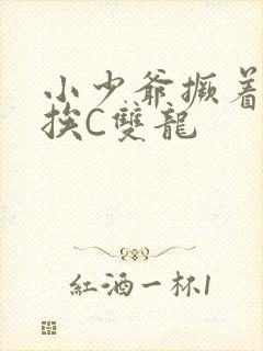 小少爷撅着屁股挨C双龙