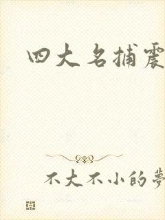 四大名捕震关东