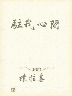 驻我心间