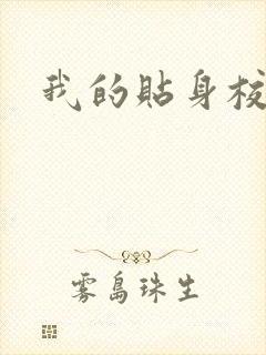 我的贴身校花