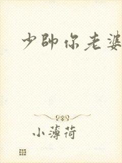 少帅你老婆