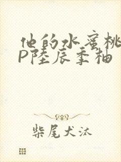 他的水蜜桃POP陆辰季柚