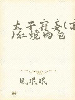 太子宠妾(高肉)红烧肉包