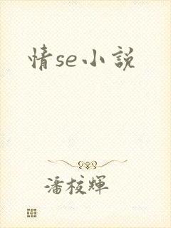 情se小说
