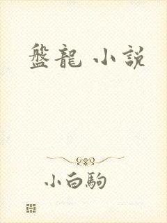 盘龙 小说