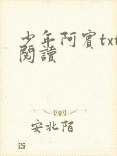 少年阿宾txt阅读
