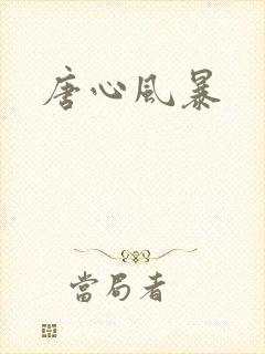 唐心风暴
