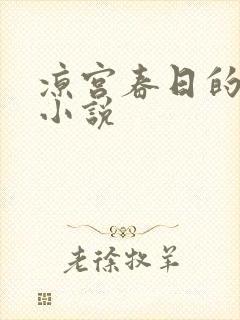 凉宫春日的忧郁小说