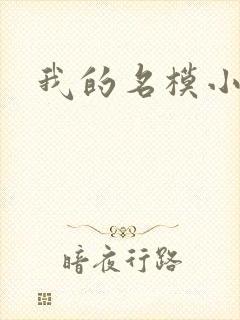 我的名模小娇妻