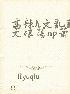 高辣h文乱乳h文浪荡np萧太后