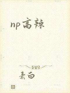 np高辣