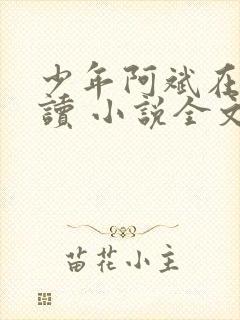 少年阿斌在线阅读 小说全文免费