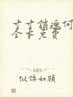 寸寸销魂何生祥全本免费