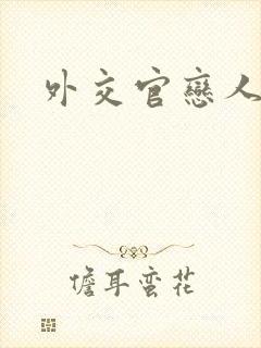 外交官恋人小说