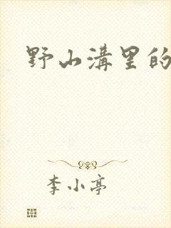 野山沟里的村庄