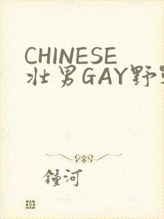 CHINESE壮男GAY野战强迫TUBE