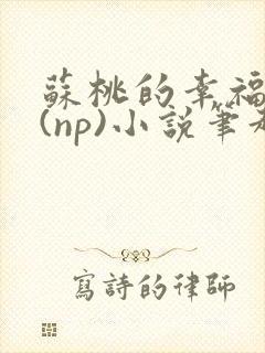 苏桃的幸福生活(np)小说笔趣阁沐沐