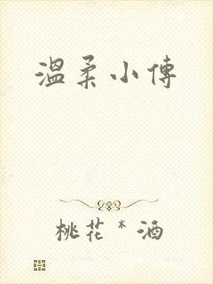 温柔小传