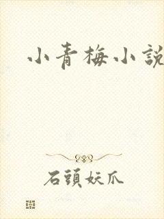 小青梅小说