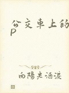 公交车上的群NP