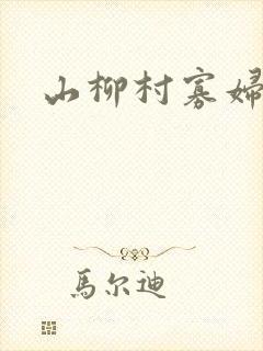 山柳村寡妇情史