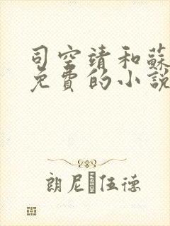 司空靖和苏月汐免费的小说笔趣阁