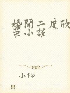 婚开二度欣欣向荣小说