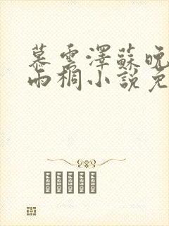 慕云泽苏晚晴夏雨桐小说免费阅读